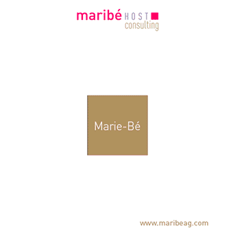 carte de vœux 2015 pour Maribé Host Consulting