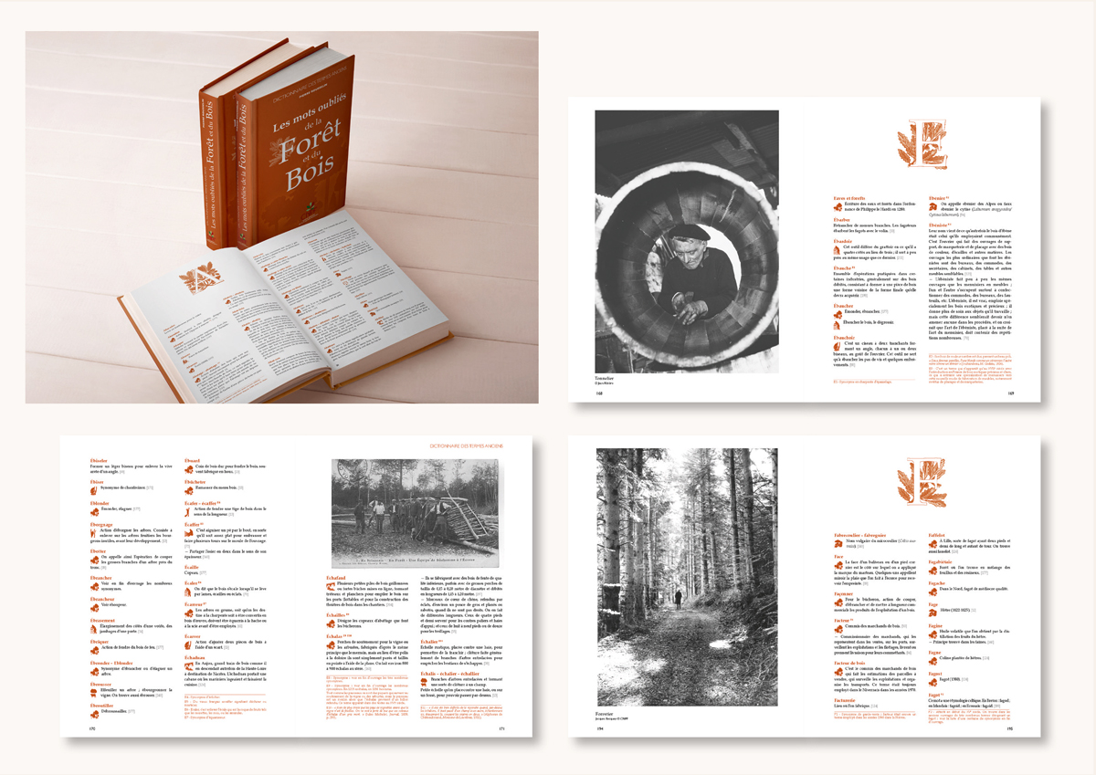 Dictionnaire des mots oubliés édité par le CNPF