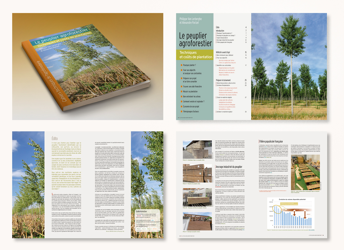 Brochure technique sur le Peuplier Agroforestier édité par le CNPF